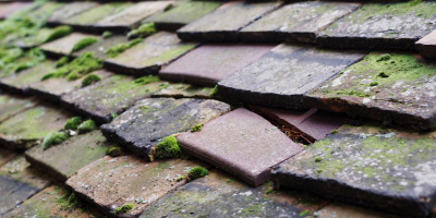 Avening roof repair costs